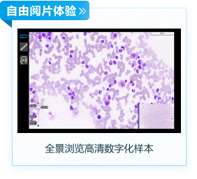 全景浏览高清数字化样本