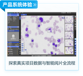 探索真实项目数据与智能阅片